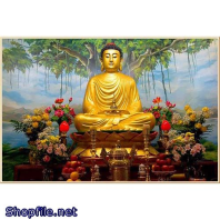 Phật Giáo